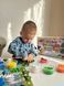 Modelling dough [Малювання тістом] ToysFromTwins TFT30725 фото 4